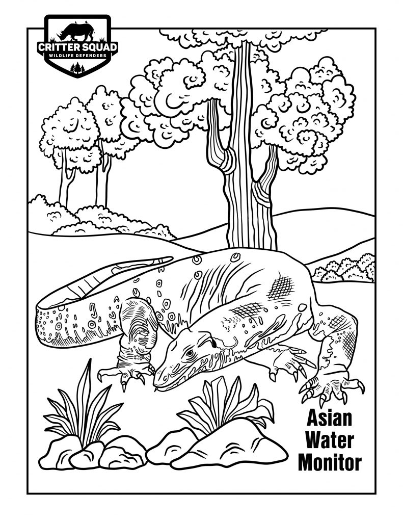 130 Lizard Coloring Pages: A Reptilian Adventure 9