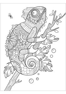 130 Lizard Coloring Pages: A Reptilian Adventure 92