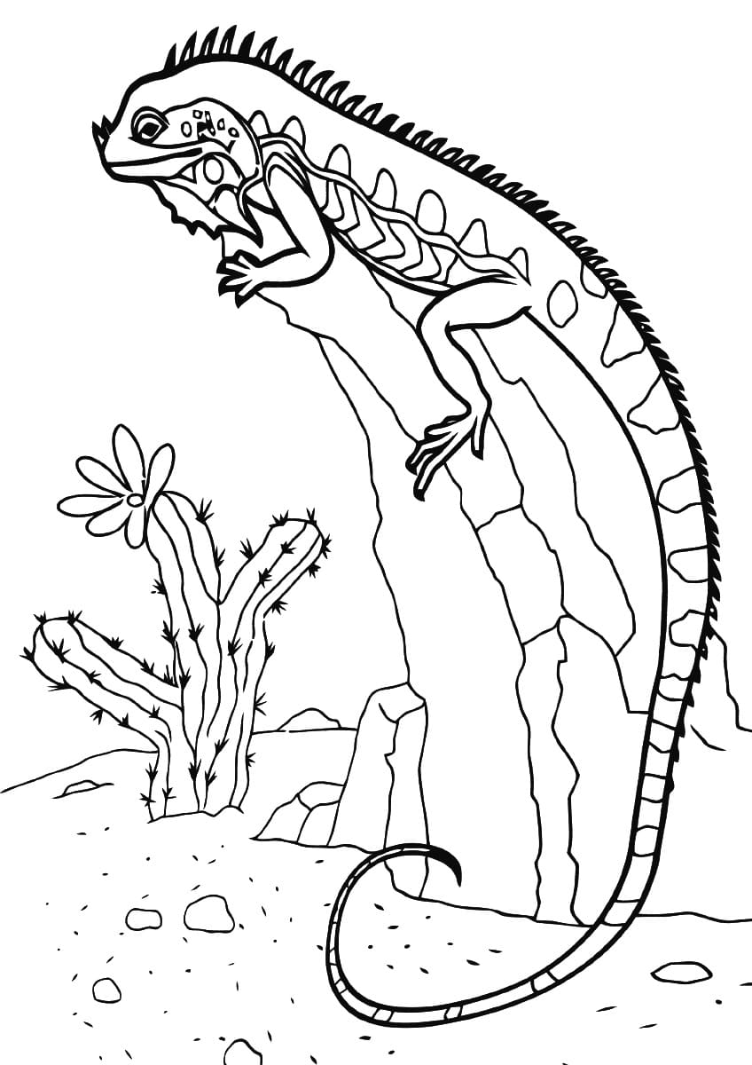 130 Lizard Coloring Pages: A Reptilian Adventure 93