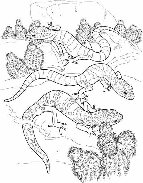 130 Lizard Coloring Pages: A Reptilian Adventure 94