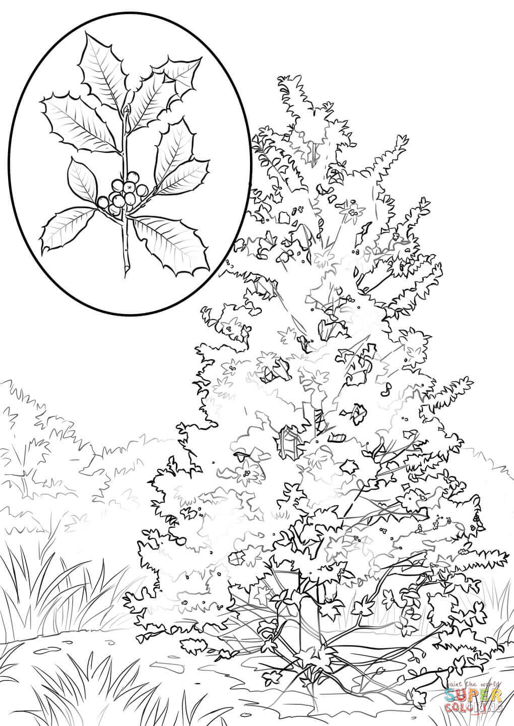 159 Holly Coloring Pages Printable 75