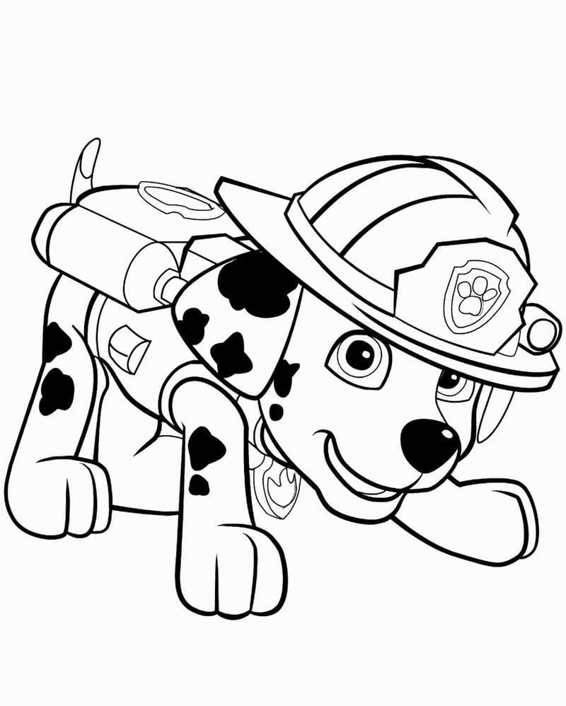 160+ Skye Paw Patrol Coloring Page Ideas for Adventure 32