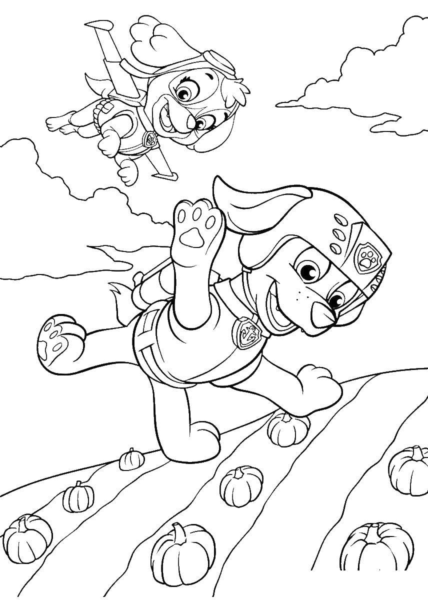 160+ Skye Paw Patrol Coloring Page Ideas for Adventure 49