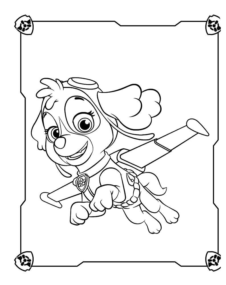 160+ Skye Paw Patrol Coloring Page Ideas for Adventure 64