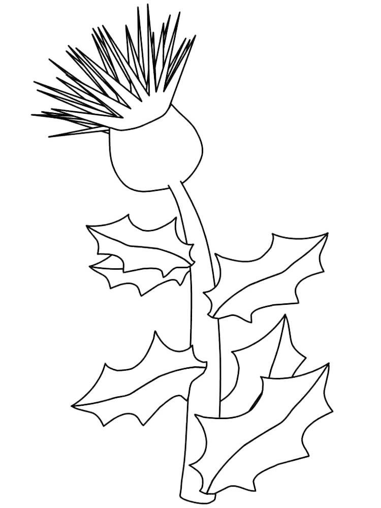 171 Scotland Coloring Pages Printable 101