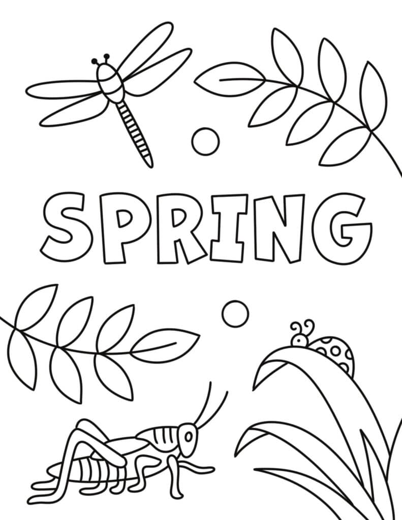 summer coloring by numbers printable jpg