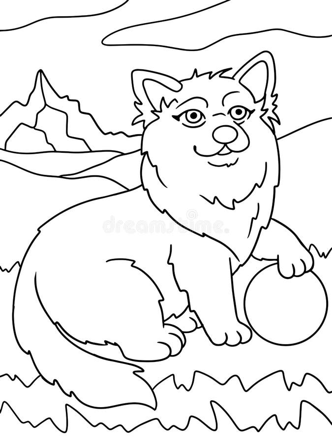 199 Beach Ball Coloring Pages Free Printable 103