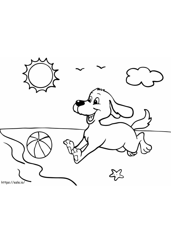 199 Beach Ball Coloring Pages Free Printable 114