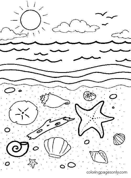 199 Beach Ball Coloring Pages Free Printable 29