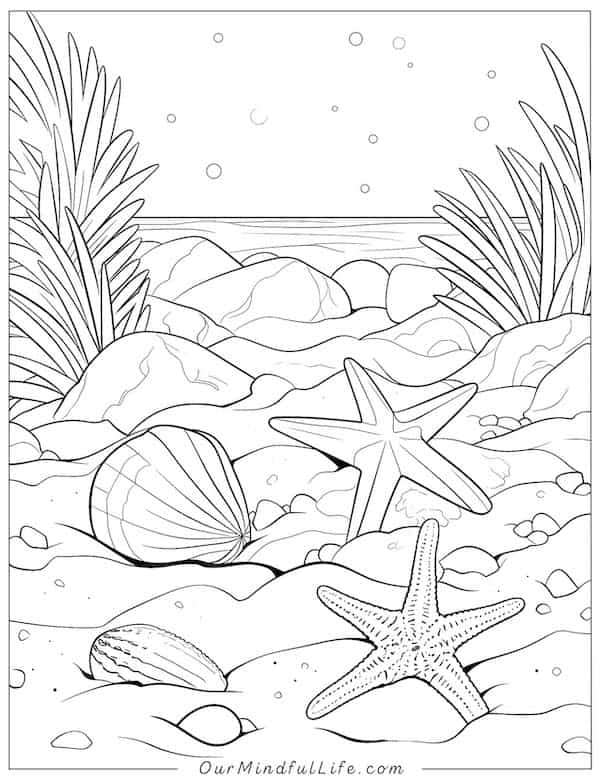 199 Beach Ball Coloring Pages Free Printable 81