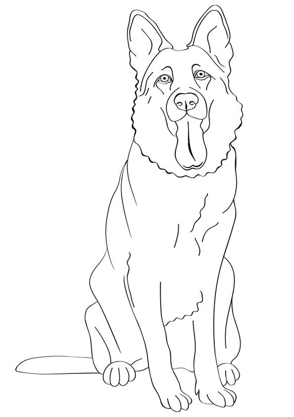 100 German Shepherd Coloring Pages Printable 11