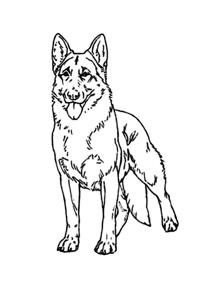 100 German Shepherd Coloring Pages Printable 23