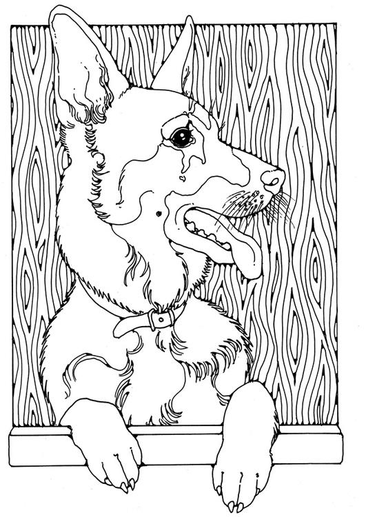 100 German Shepherd Coloring Pages Printable 28