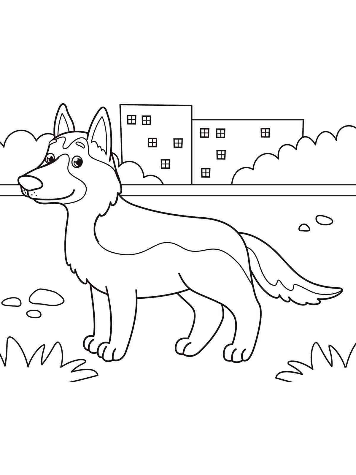 100 German Shepherd Coloring Pages Printable 33