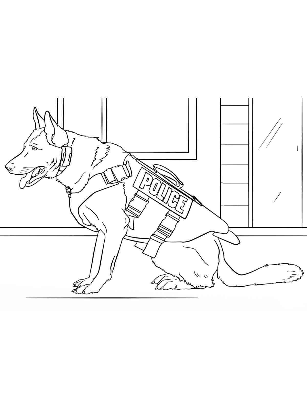 100 German Shepherd Coloring Pages Printable 41