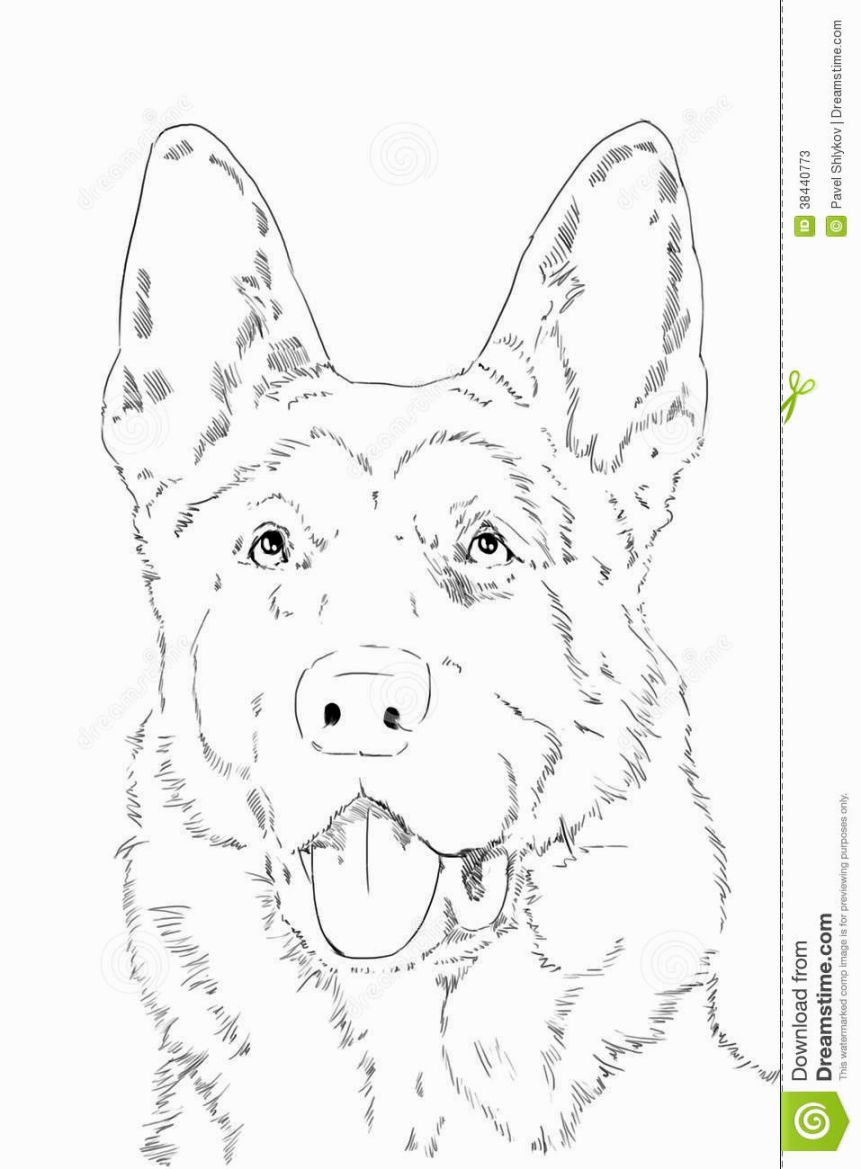 100 German Shepherd Coloring Pages Printable 46