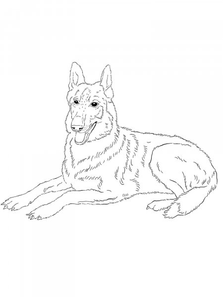 100 German Shepherd Coloring Pages Printable 55