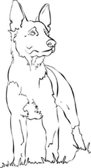 100 German Shepherd Coloring Pages Printable 66