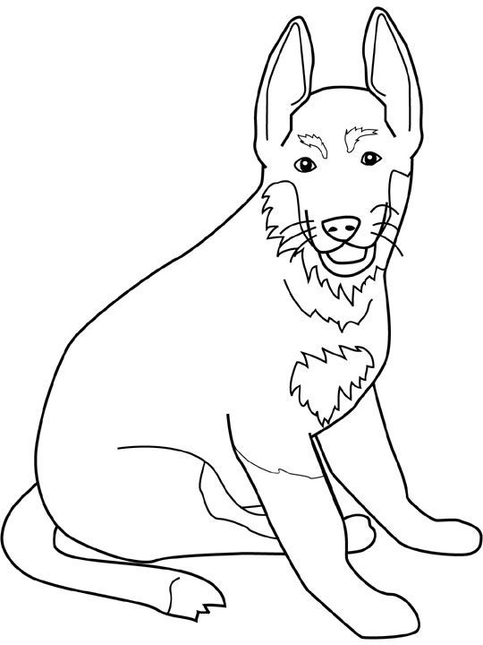 100 German Shepherd Coloring Pages Printable 76