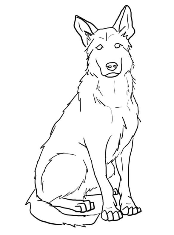 100 German Shepherd Coloring Pages Printable 79