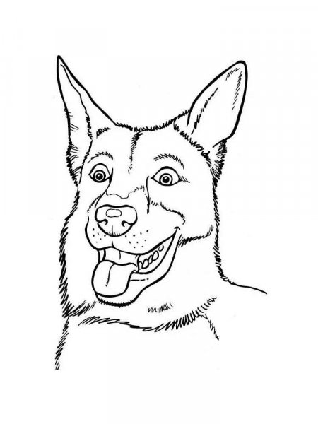 100 German Shepherd Coloring Pages Printable 9