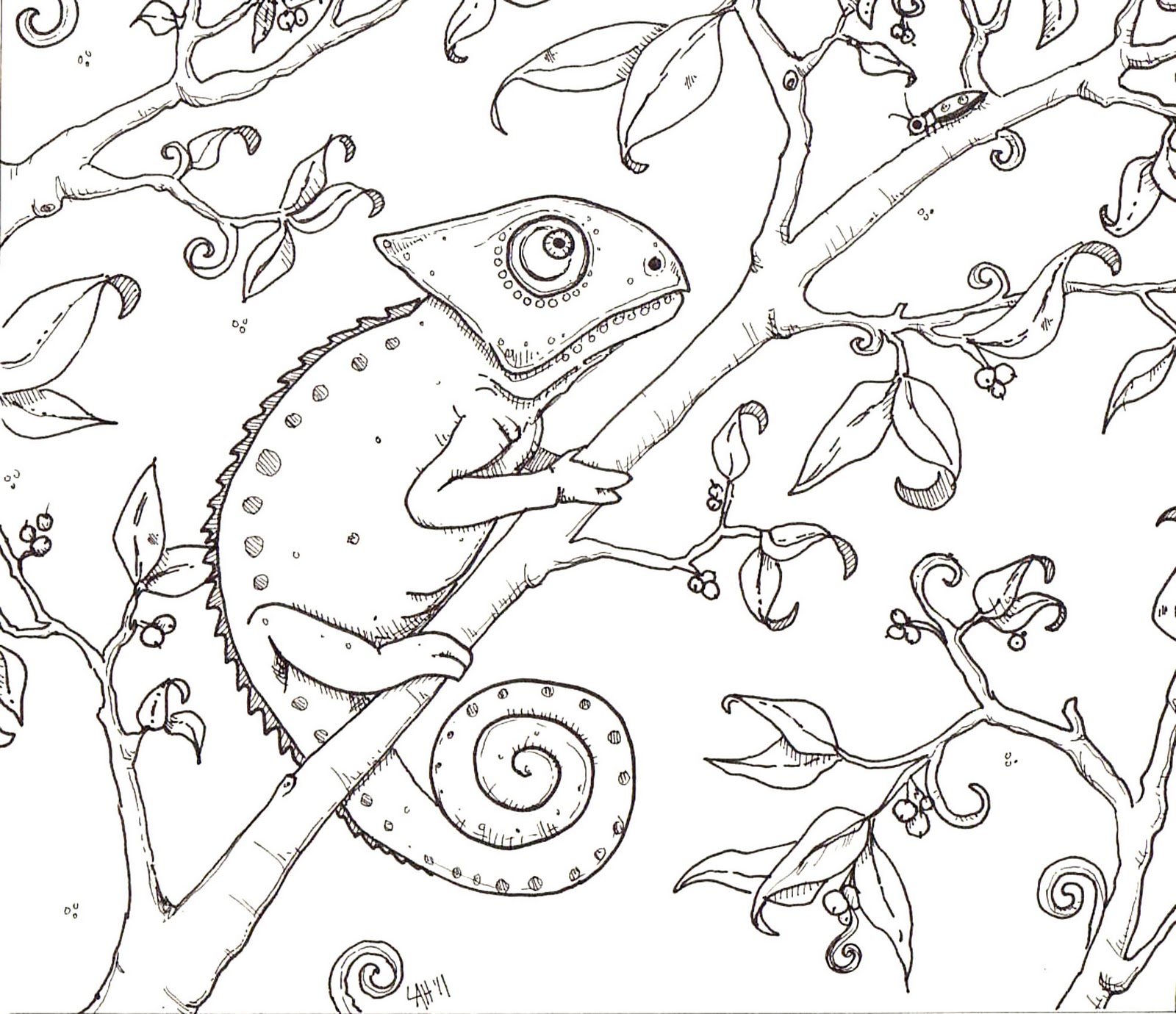 chameleon coloring pages printable jpg