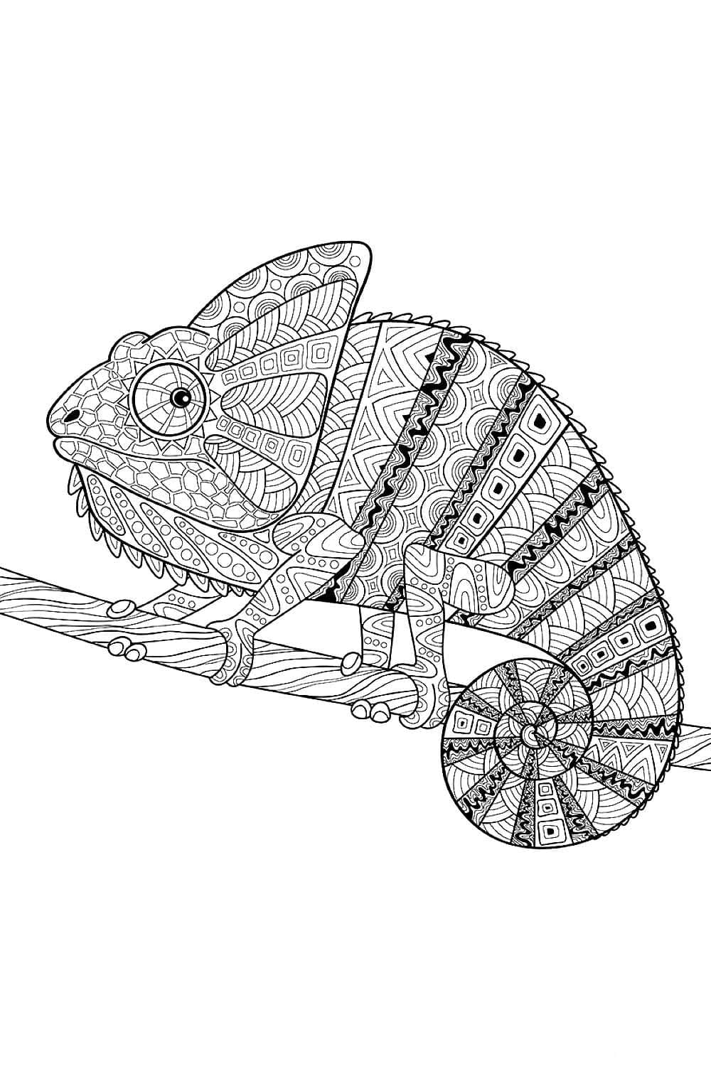 115 Chameleon Coloring Pages Printable 101