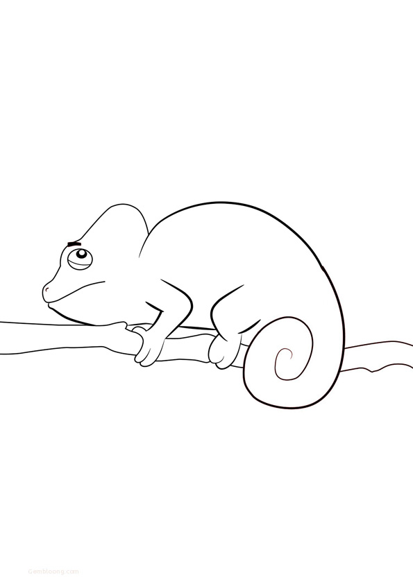 115 Chameleon Coloring Pages Printable 102