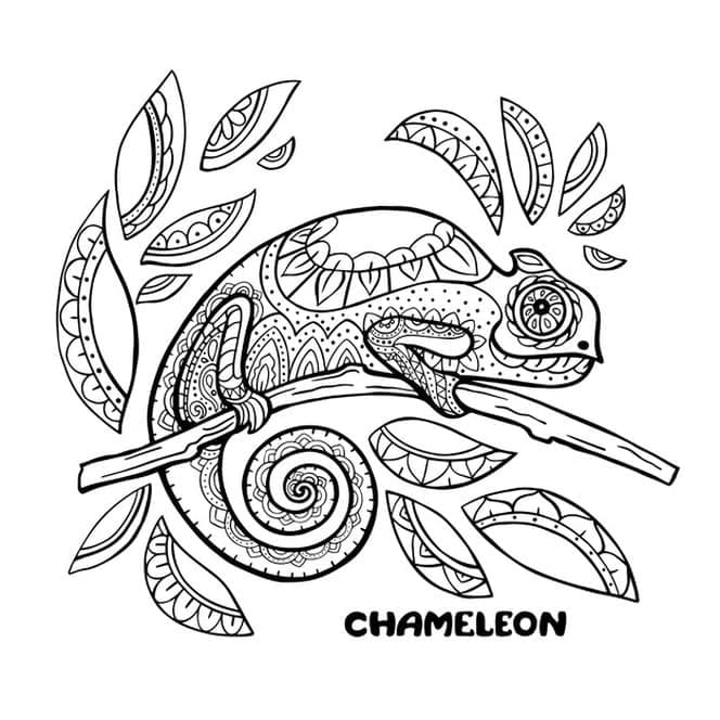 115 Chameleon Coloring Pages Printable 104