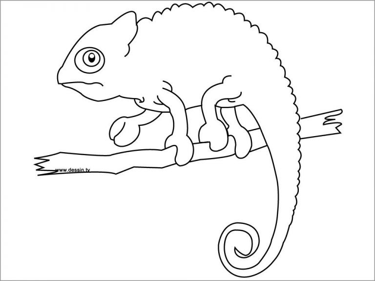 115 Chameleon Coloring Pages Printable 106