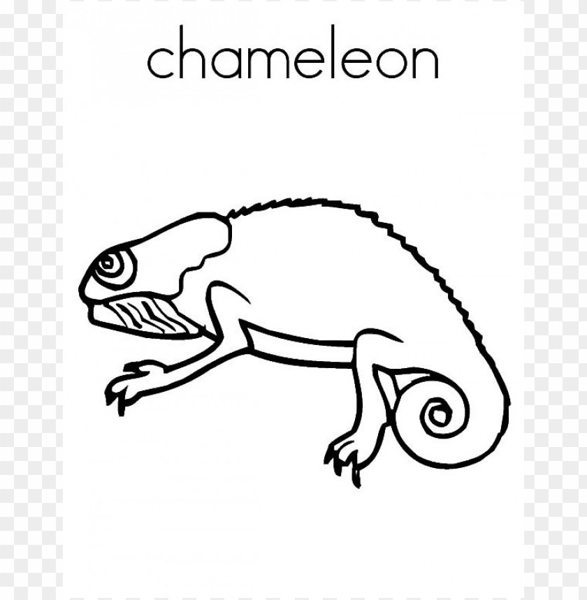 115 Chameleon Coloring Pages Printable 110