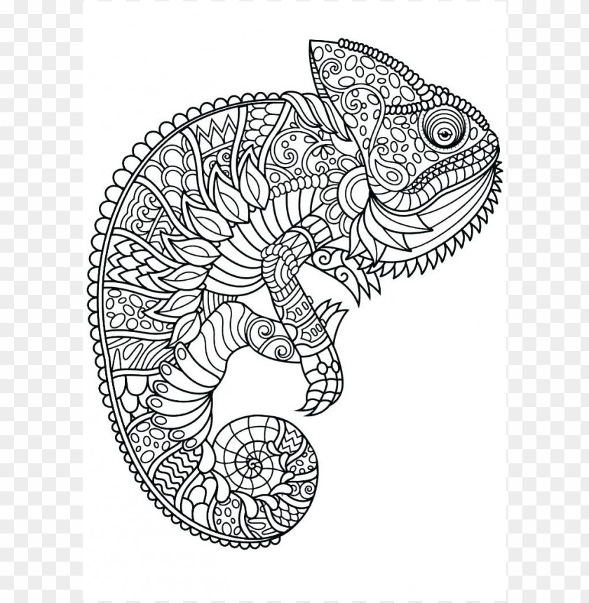 115 Chameleon Coloring Pages Printable 114