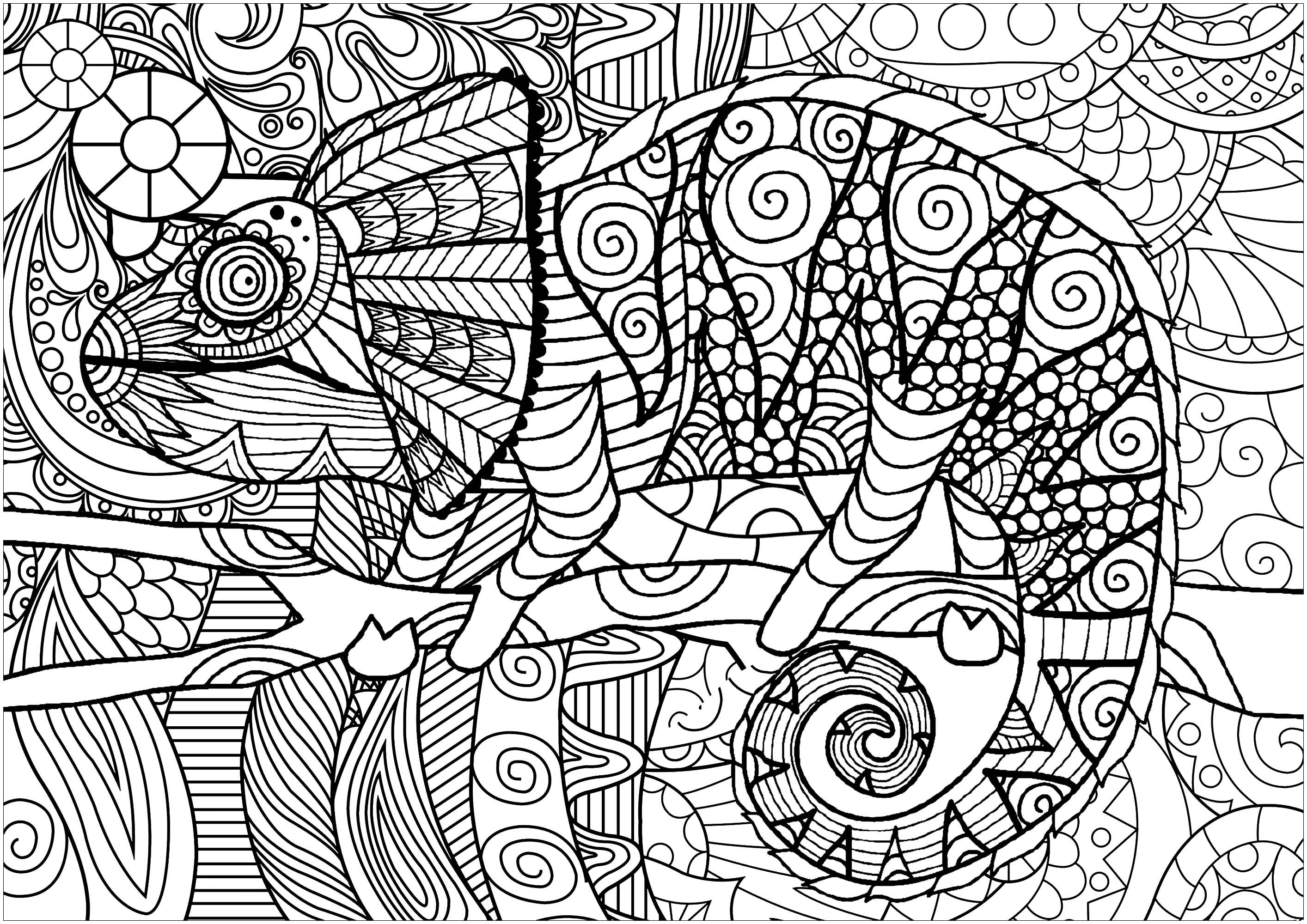 115 Chameleon Coloring Pages Printable 115