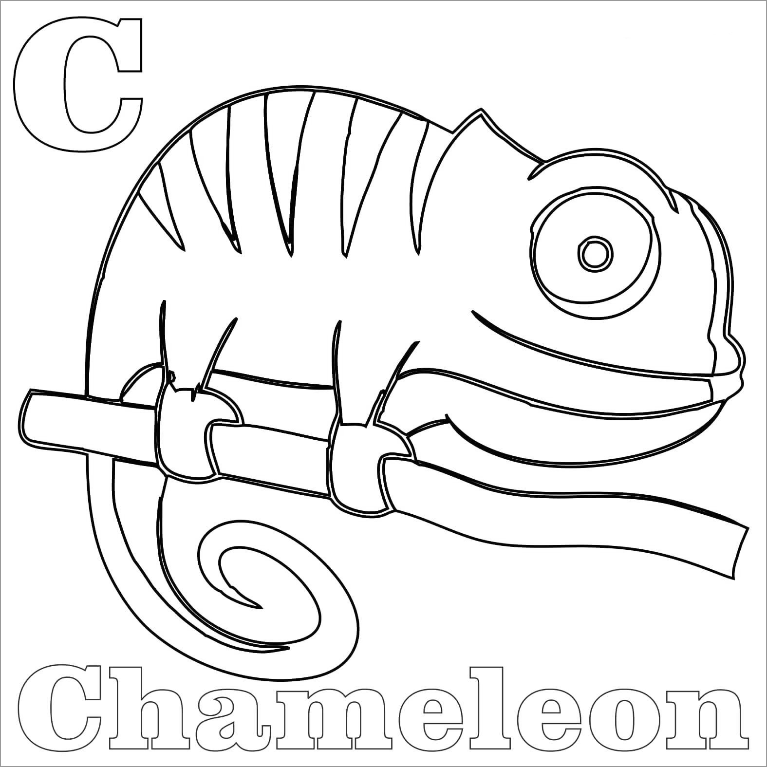 chameleon coloring pages printable jpg