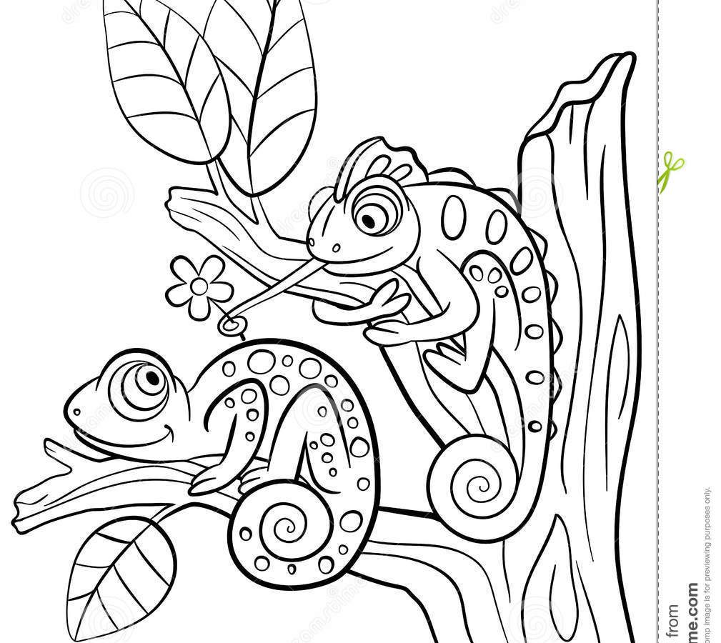 115 Chameleon Coloring Pages Printable 14