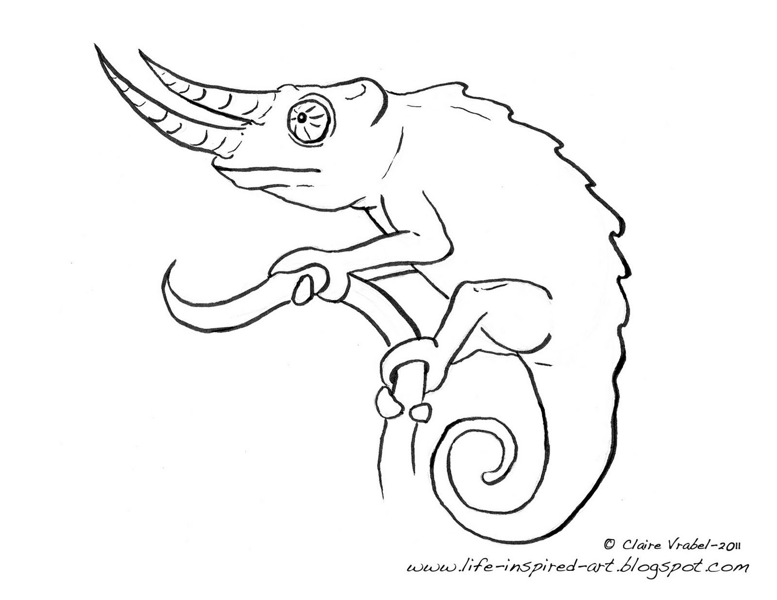 115 Chameleon Coloring Pages Printable 15