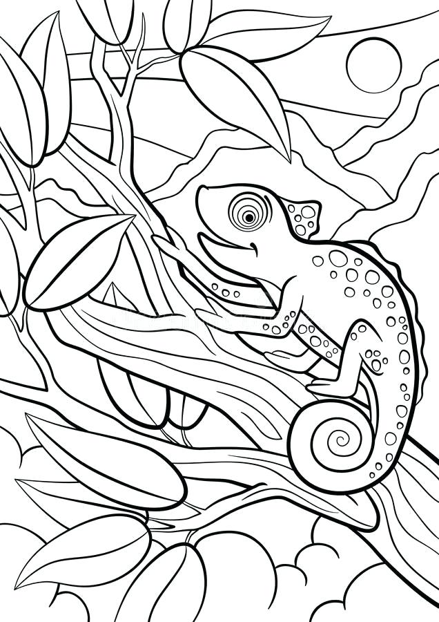 115 Chameleon Coloring Pages Printable 17