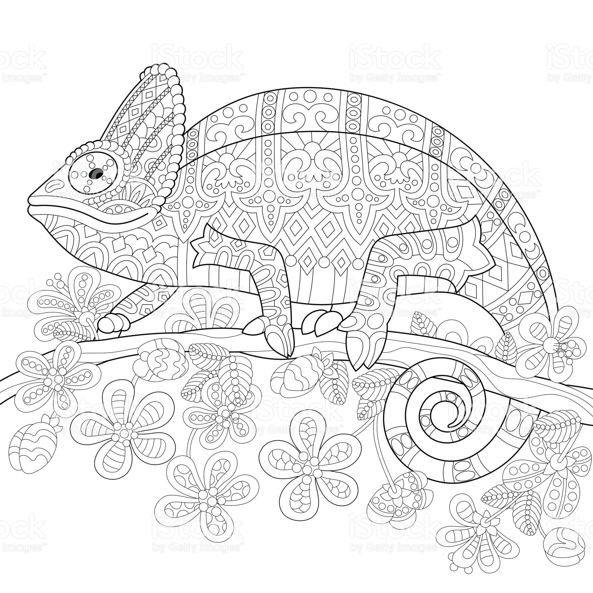 115 Chameleon Coloring Pages Printable 19