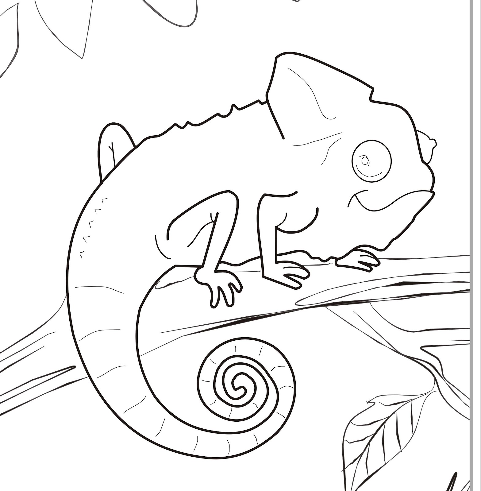 115 Chameleon Coloring Pages Printable 2