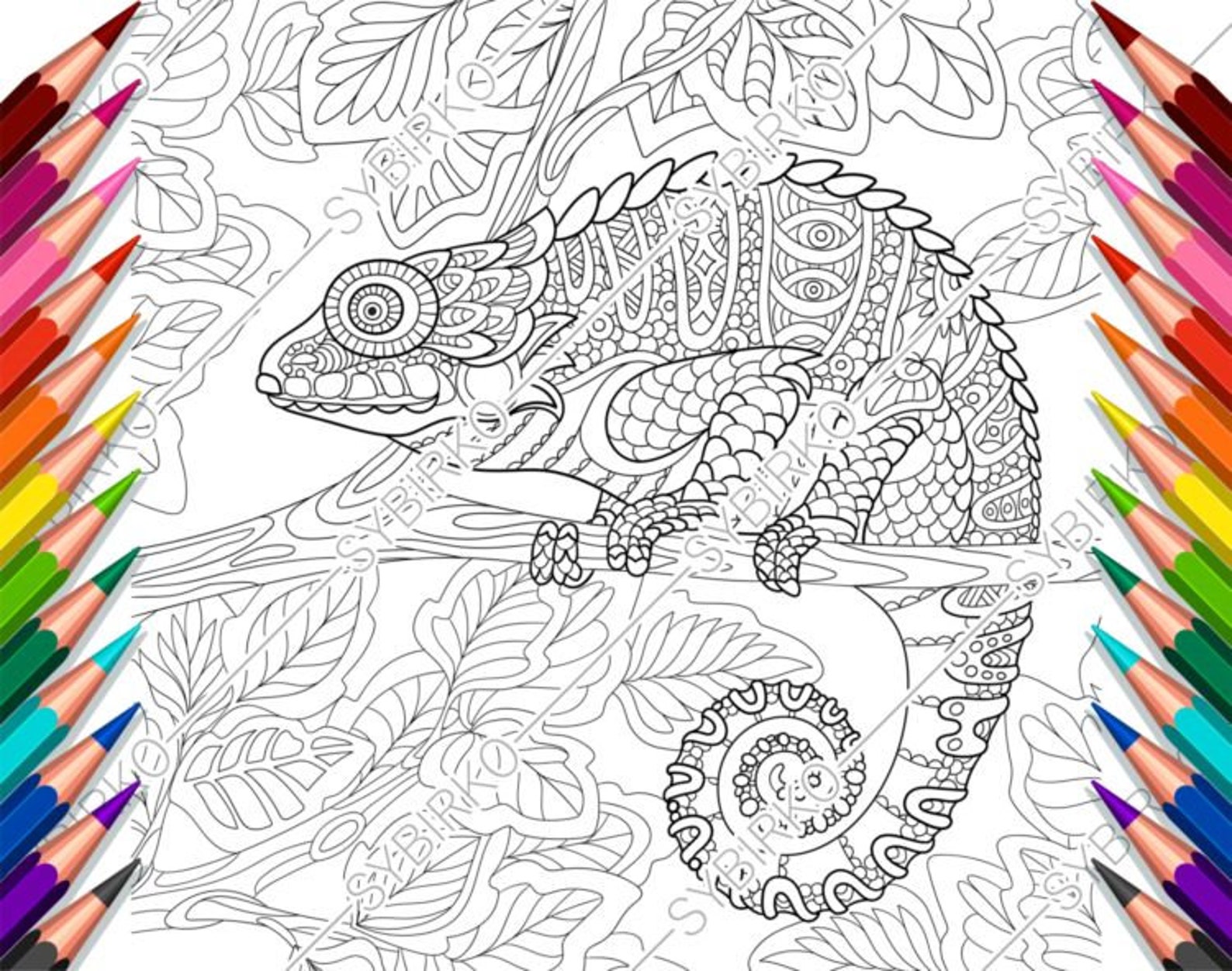 115 Chameleon Coloring Pages Printable 22