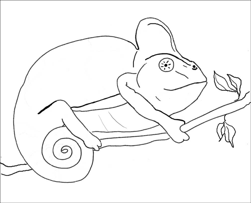 115 Chameleon Coloring Pages Printable 24