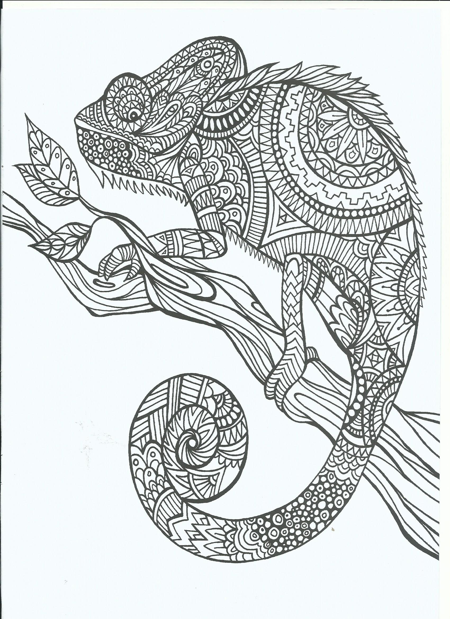 115 Chameleon Coloring Pages Printable 26