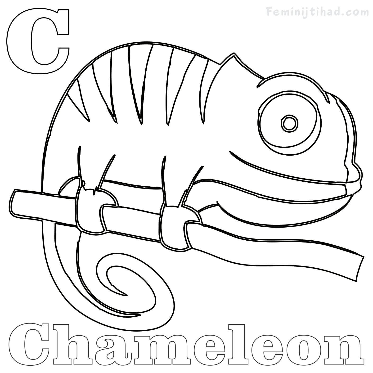 115 Chameleon Coloring Pages Printable 29