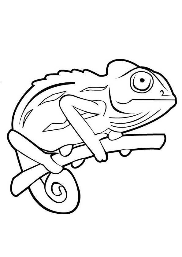 115 Chameleon Coloring Pages Printable 30