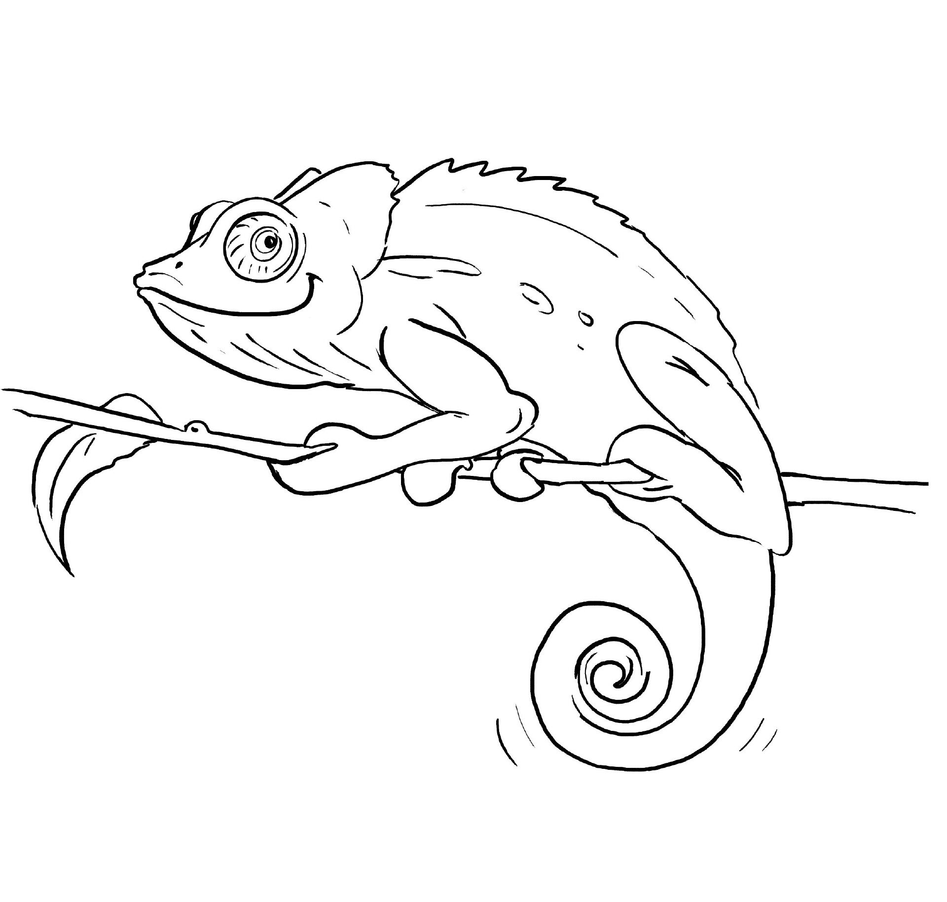 115 Chameleon Coloring Pages Printable 33