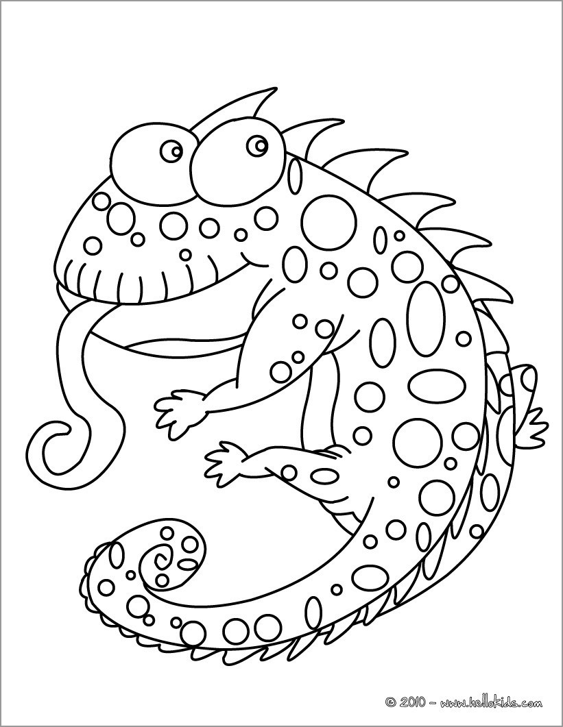 115 Chameleon Coloring Pages Printable 35