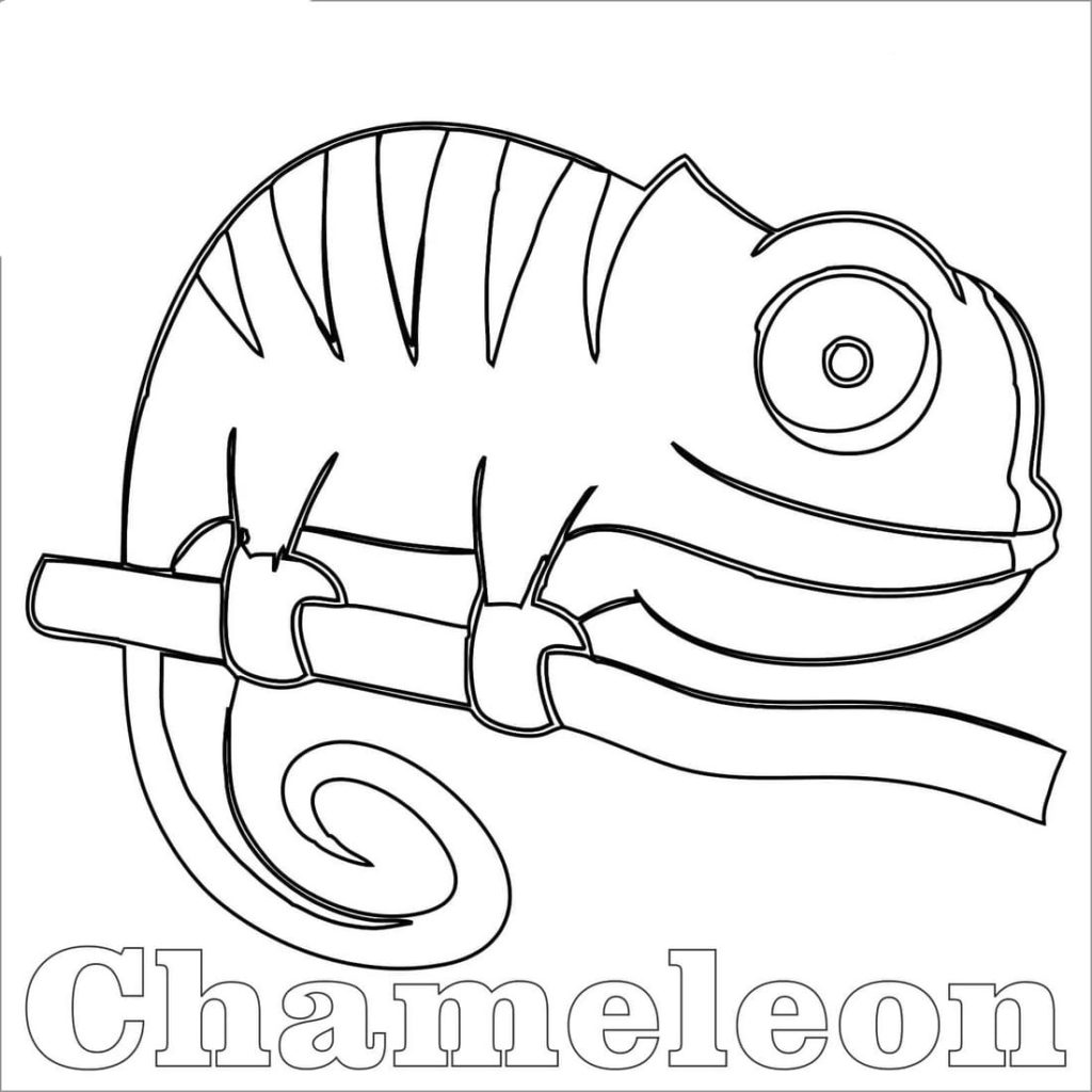 115 Chameleon Coloring Pages Printable 38