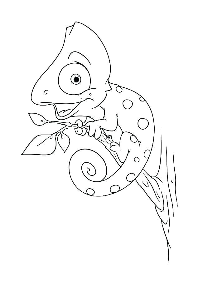 115 Chameleon Coloring Pages Printable 39