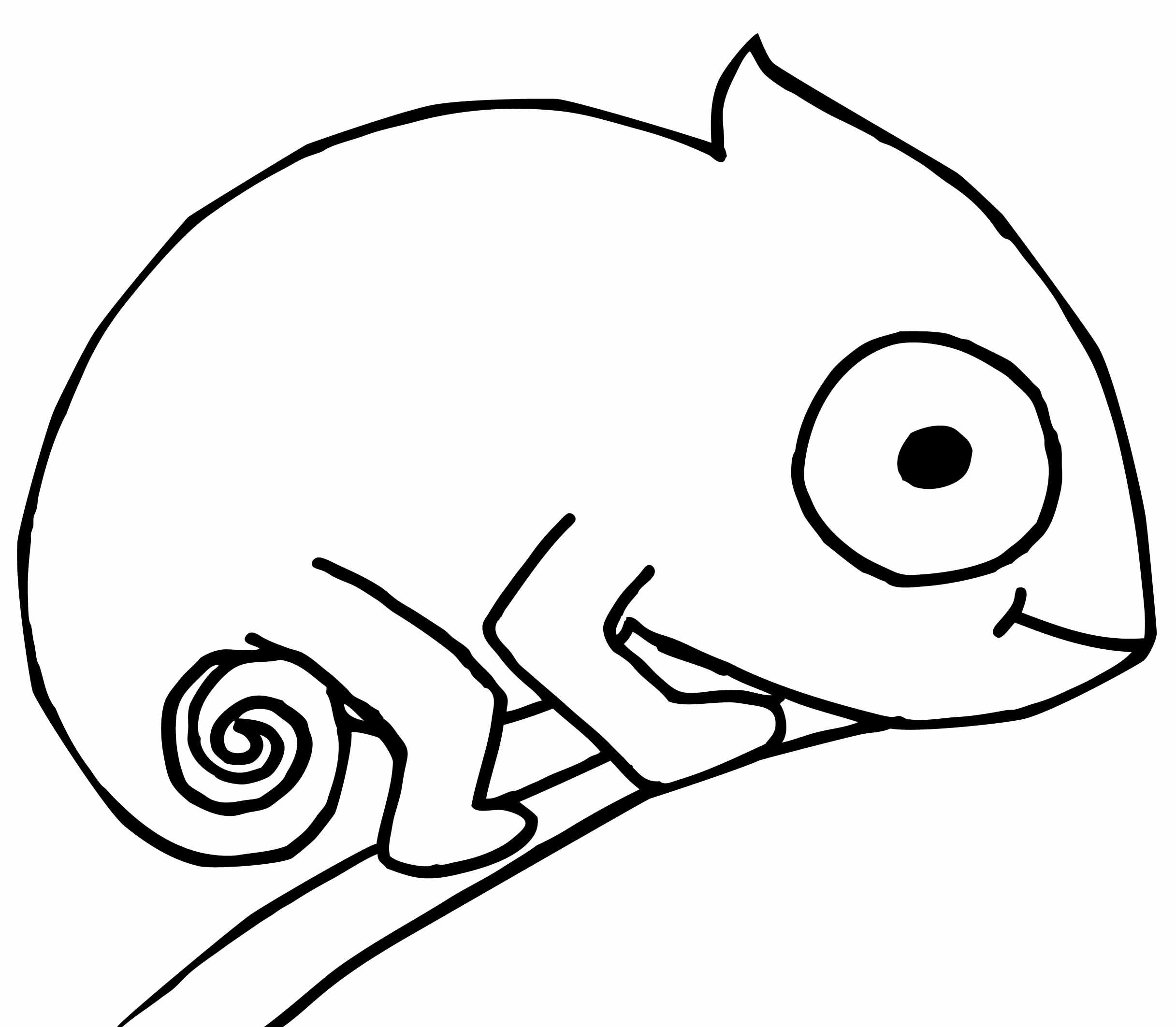 chameleon coloring pages printable jpg