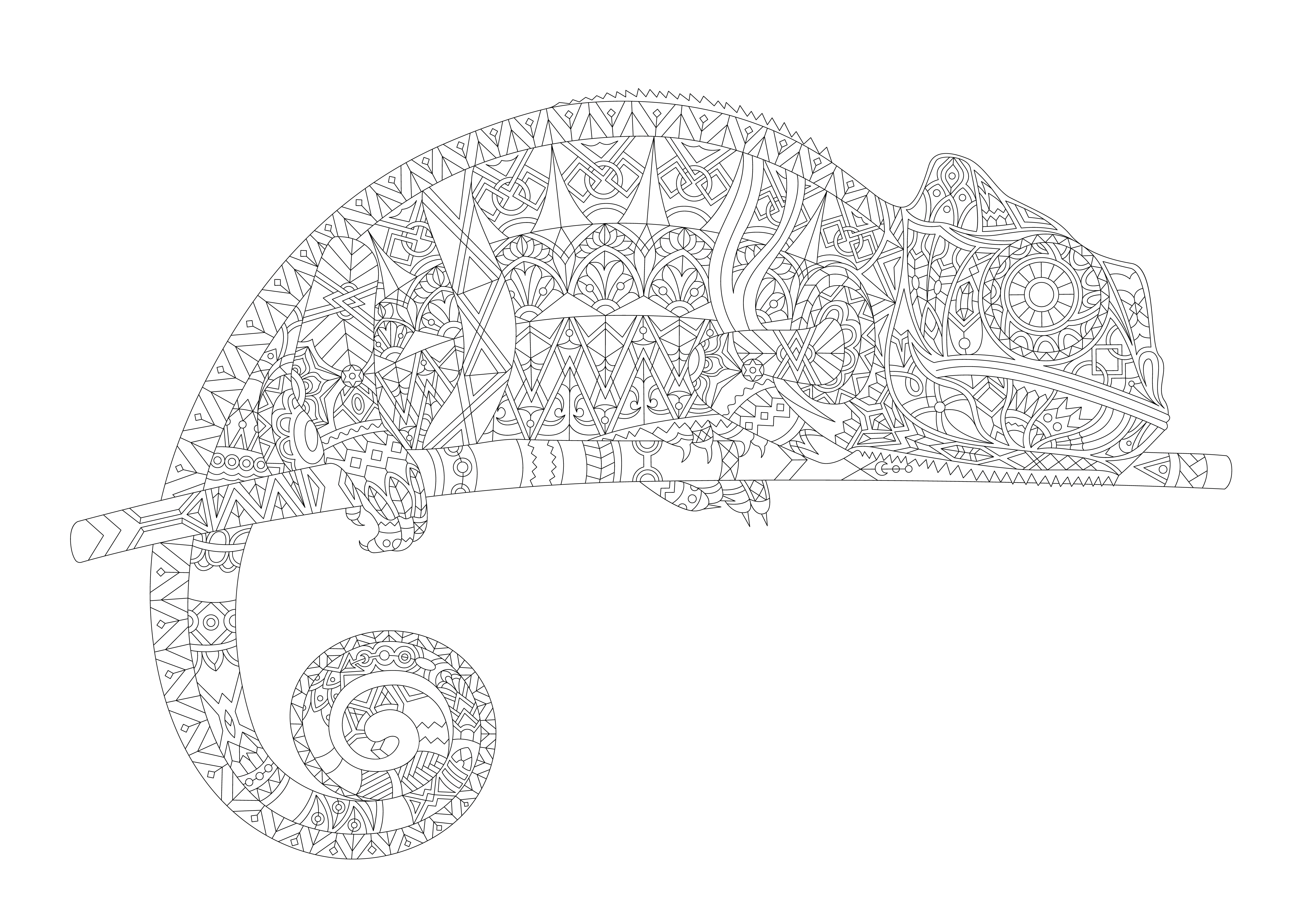 115 Chameleon Coloring Pages Printable 40